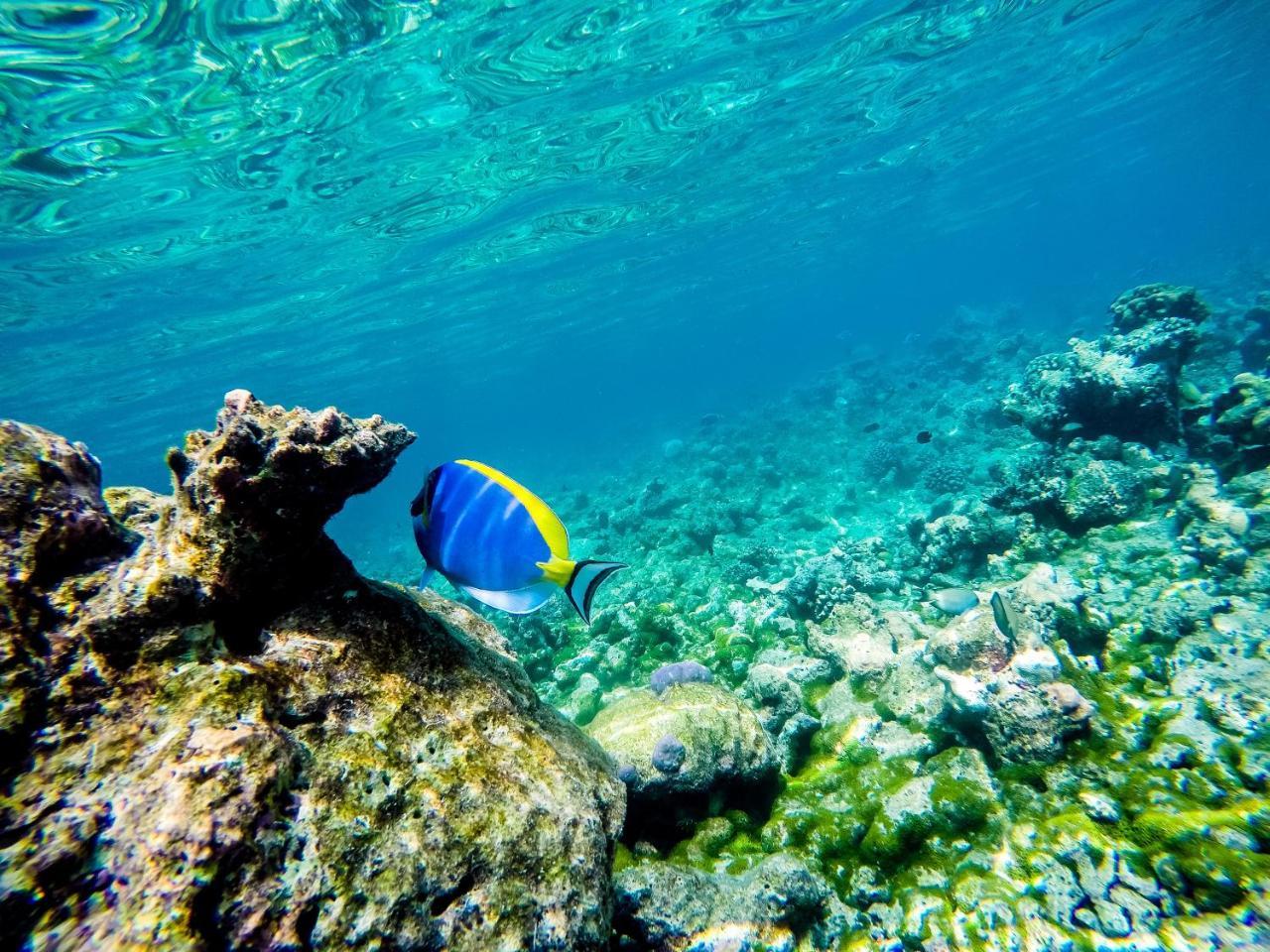 Old Town Inn Maldives Gaafaru Luaran gambar