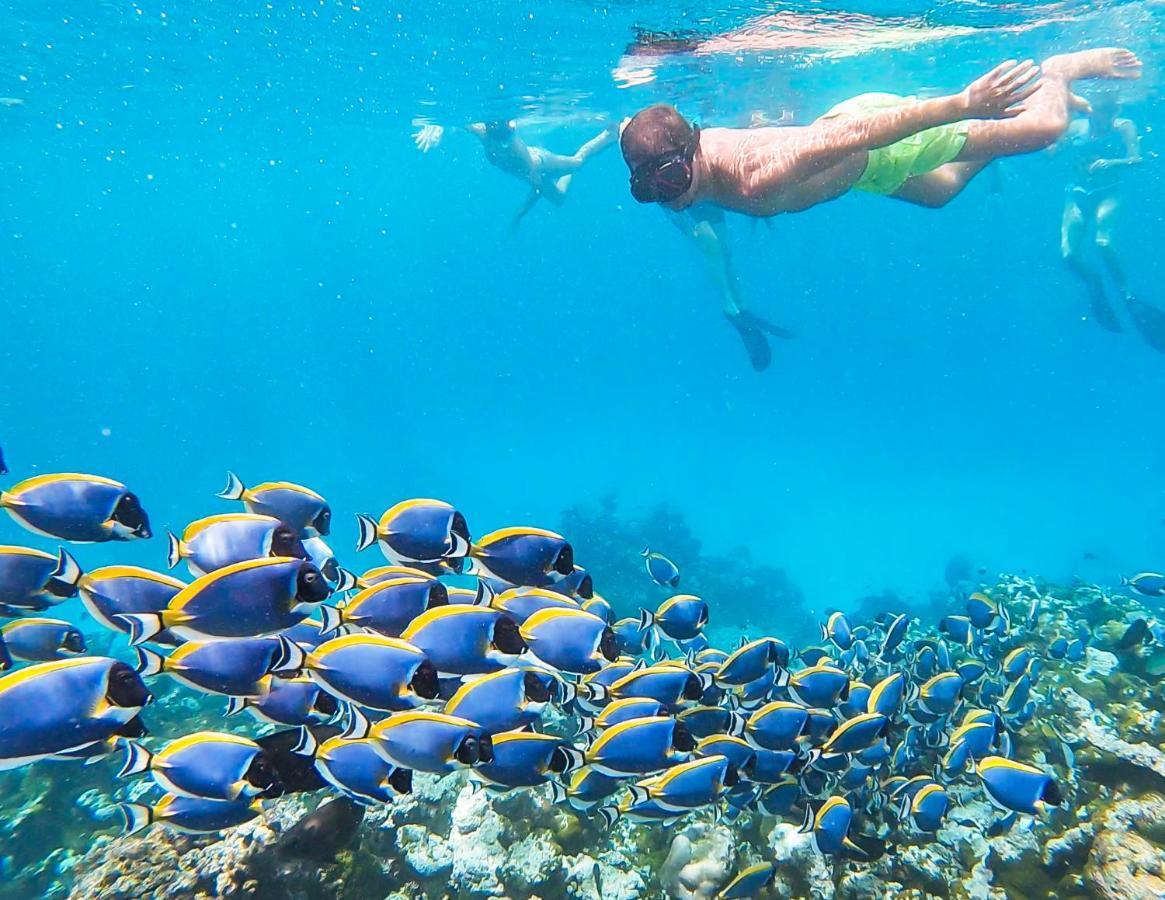 Old Town Inn Maldives Gaafaru Luaran gambar